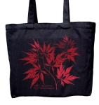 Klon palmowy ‘Dissectum Garnet’ - torba bawełniana