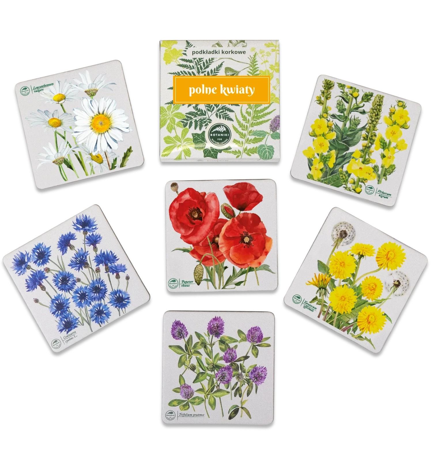 Podkładki korkowe - Paprocie pol_pl_Paprocie-podkladki-korkowe-32779_1