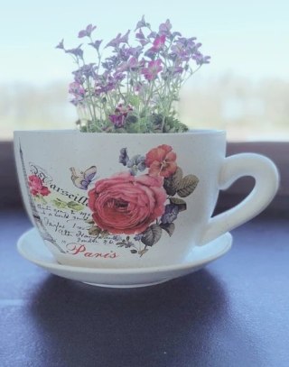 Ceramiczna doniczka filiżanka róża z podstawką (duża)