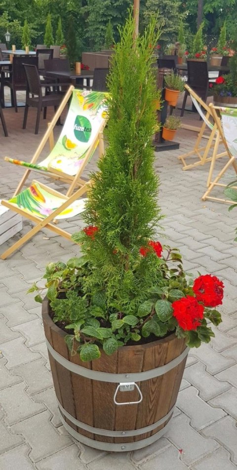 Donica dąb 25xH25 k. dąb