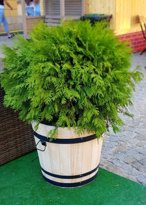 Donica sosna 42xH38 k. dąb