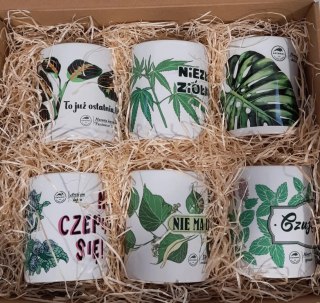 "To już ostatnia, obiecuję-zestaw prezentowy z 6 kubkami (czerwona wstążka)