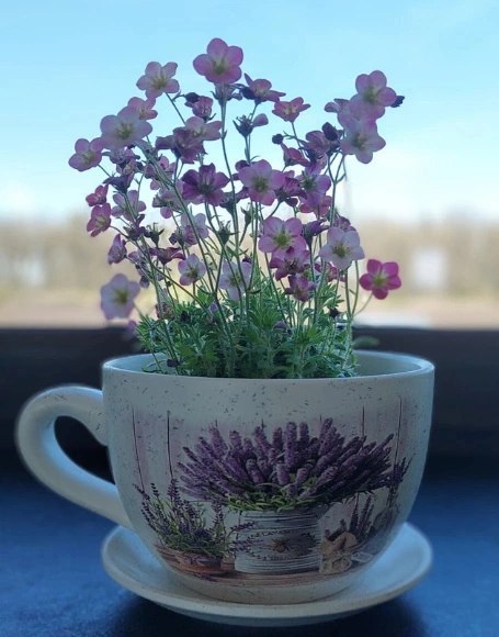 Ceramiczna doniczka filiżanka lawenda z podstawką (mała)