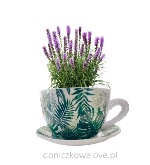 Ceramiczna doniczka filiżanka monstera z podstawką (duża)