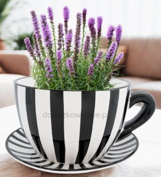 Ceramiczna doniczka filiżanka w czarne paski z podstawką (duża)