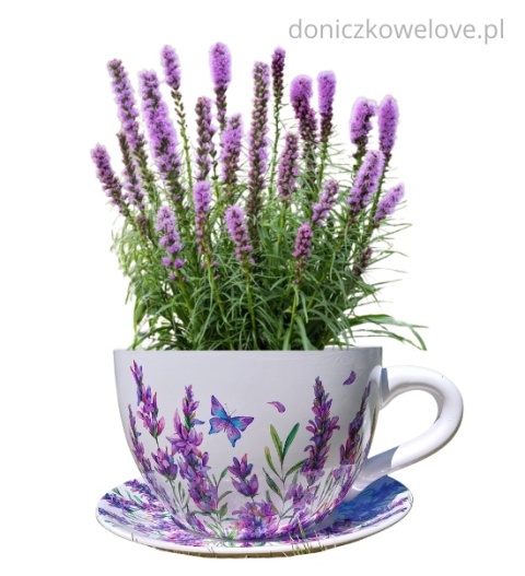 Ceramiczna doniczka filiżanka z podstawką lawenda z motylem (maxi)