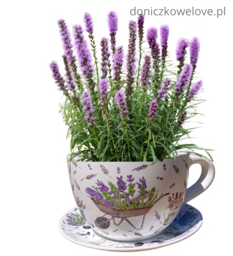 Ceramiczna doniczka filiżanka z podstawką lawenda z taczką (maxi)