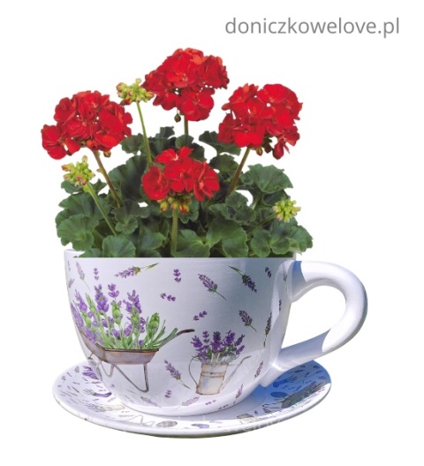 Ceramiczna doniczka filiżanka z podstawką lawenda z taczką (maxi)