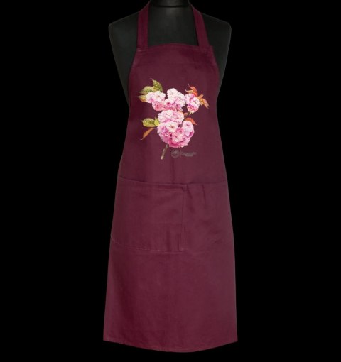Fartuch ogrodowy Wiśnia piłkowana 'Kanzan' (bordowy)