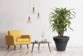 Donica Grande 75 cm WP antracyt